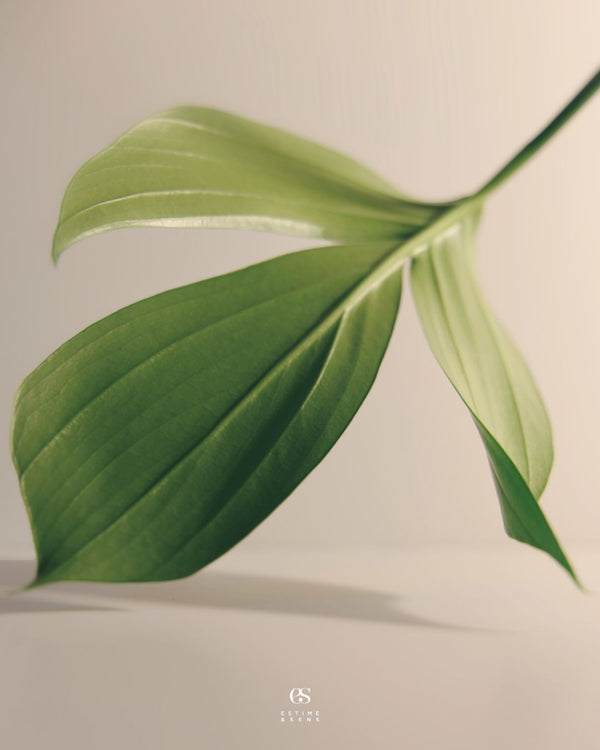 Understanding Sensitive Skin: A Guide For Skin Therapists